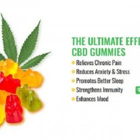Euphoria Green CBD Gummies Reviews [Natural Ingredients] Dr OZ Bioheal CBD Gummies Shark Tank 2024!